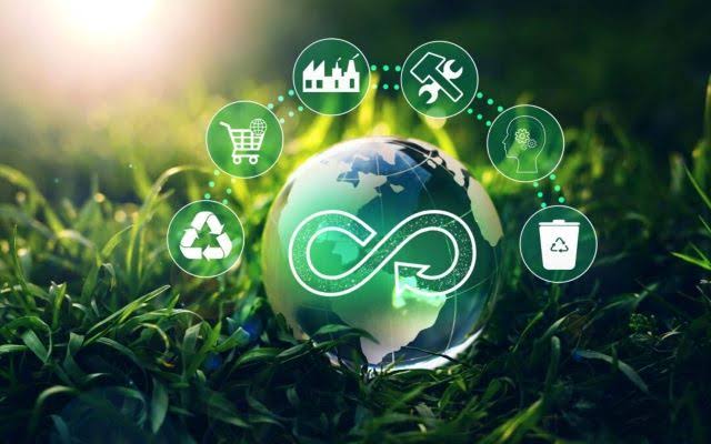 Chemical Recycling & Circular Economy